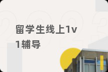 留学生线上1v1辅导