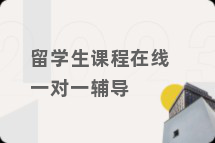 留学生课程在线一对一辅导