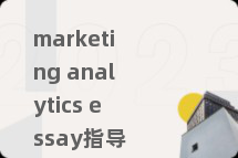 marketing analytics essay指导