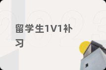留学生1V1补习