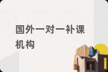 国外一对一补课机构