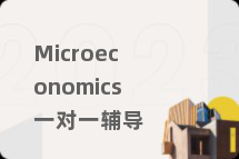 Microeconomics一对一辅导