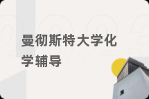 曼彻斯特大学化学辅导
