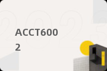ACCT6002