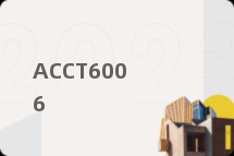 ACCT6006