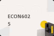 ECON6025