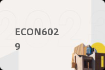 ECON6029