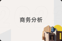 商务分析