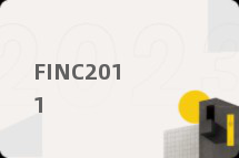 FINC2011