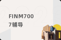 FINM7007辅导