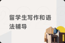 留学生写作和语法辅导