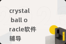 crystal ball oracle软件辅导