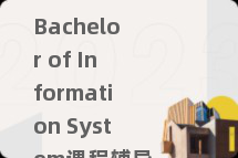 Bachelor of Information System课程辅导
