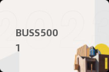 BUSS5001