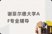 谢菲尔德大学AF专业辅导