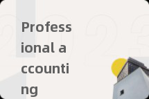 Professional accounting