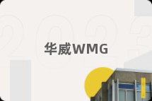 华威WMG