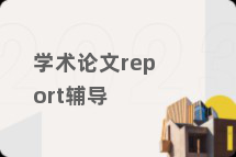 学术论文report辅导