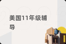 美国11年级辅导