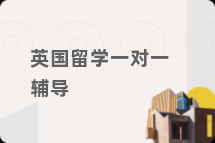 英国留学一对一辅导