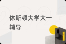 休斯顿大学大一辅导