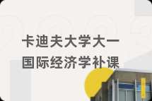卡迪夫大学大一国际经济学补课