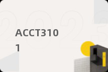 ACCT3101