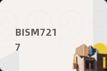 BISM7217