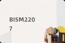 BISM2207