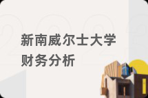 新南威尔士大学财务分析