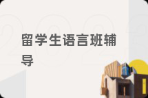 留学生语言班辅导