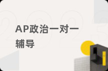 AP政治一对一辅导