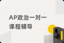 AP政治一对一课程辅导