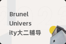 Brunel University大二辅导