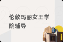 伦敦玛丽女王学院辅导