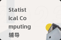 Statistical Computing辅导