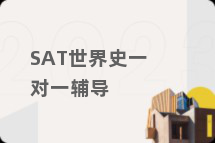 SAT世界史一对一辅导