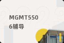 MGMT5506辅导