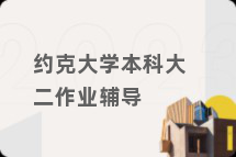 约克大学本科大二作业辅导