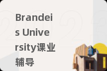 Brandeis University课业辅导