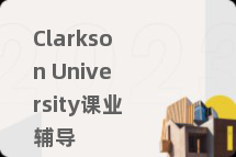 Clarkson University课业辅导