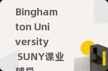 Binghamton University SUNY课业辅导
