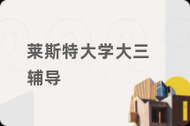 莱斯特大学大三辅导