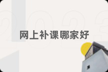 网上补课哪家好