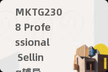 MKTG2308 Professional Selling辅导