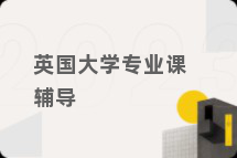 英国大学专业课辅导