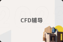 CFD辅导