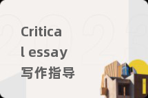 Critical essay写作指导
