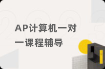AP计算机一对一课程辅导