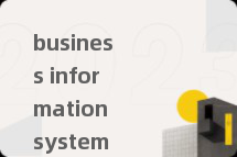 business information system